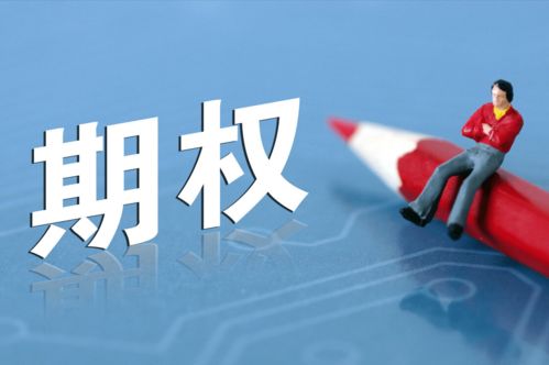 年轻时如何选择学习方向才能更快实现财务自由？