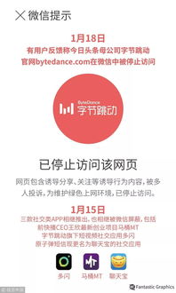 如何成功入驻今日头条并实现高效盈利？