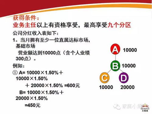 无限极奖金制度如何运作？其激励机制真的能让参与者受益吗？