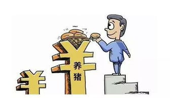 脱离政府补贴，养猪业能否独立盈利？