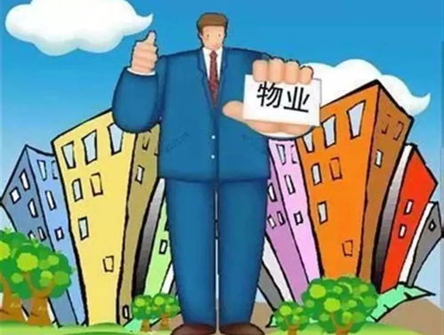 体制内人士自学摄影作为副业是否明智之举？