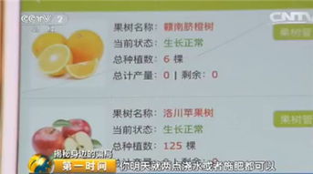 在农村，哪种果实销售最赚钱？选择对了收益翻倍！
