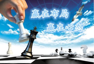 如何在武都实现高效赚钱？机会与挑战并存！