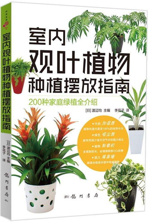 室内种植植物能否成为赚钱的可行之道？