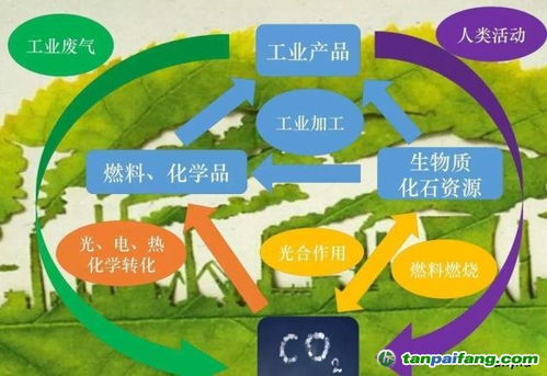 废弃钢化膜如何变废为宝，实现盈利新途径？