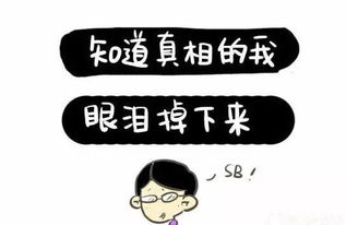 努力挣钱难道有错？探讨表情包背后的价值观争议