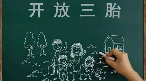 养羊能否盈利？国家政策是否支持？一探究竟