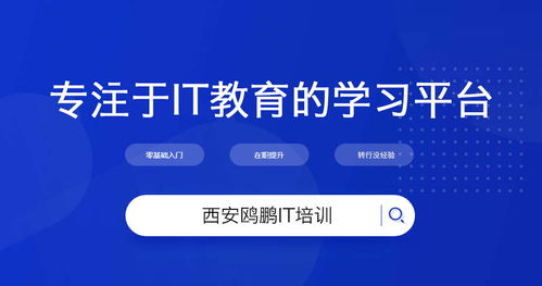Java开发者如何拓展副业领域？有哪些值得尝试的副业选择？