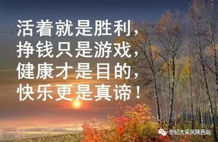 为何坚信赚钱为王道？探寻财富真谛的深刻思考