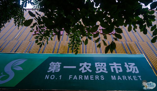 武汉小区内经营海鲜生意，盈利情况究竟如何？
