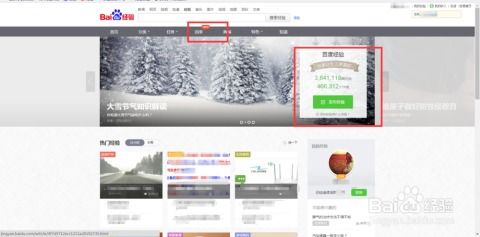 如何利用电脑网络实现高效赚钱？
