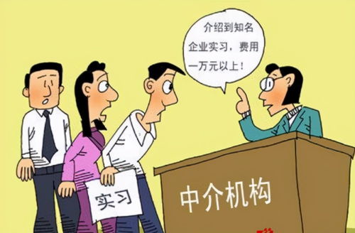 大学生进厂实习，还能拓展哪些副业机会？