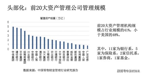 加入星光送真的能实现财富增长吗？盈利前景深度探讨