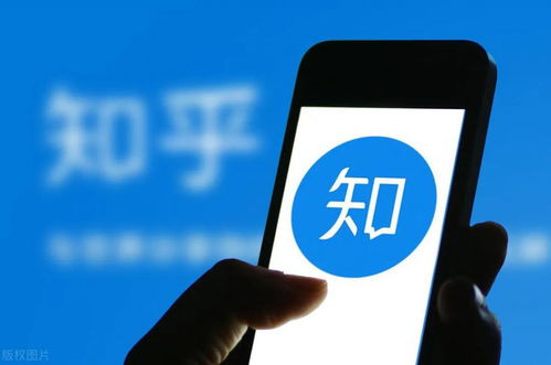 自驾游期间做饭能否成为赚钱途径？知乎上的真实经验分享