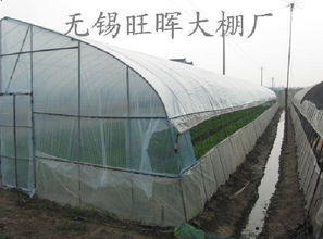 大棚周边适合开设哪种工厂以实现盈利？
