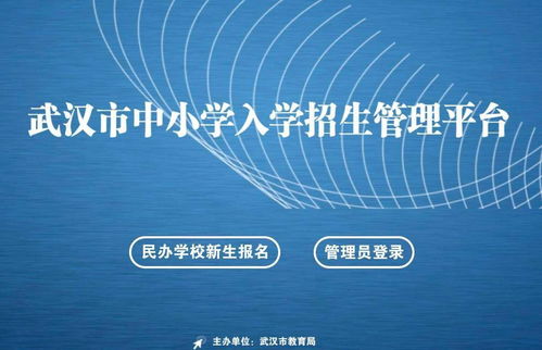 私立学校如何快速实现盈利？教育创收策略解析