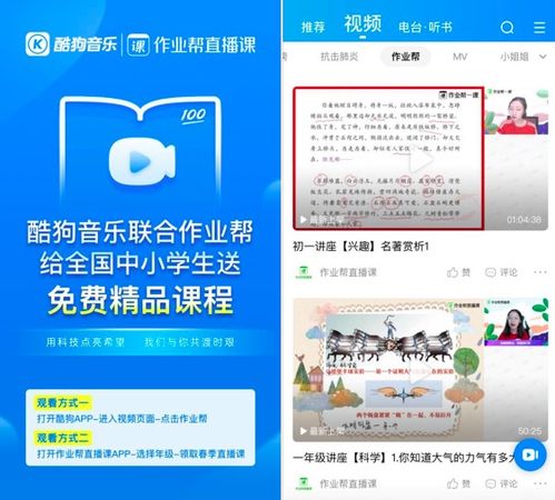 学生党如何兼顾学业与赚钱？副业机会真的多吗？