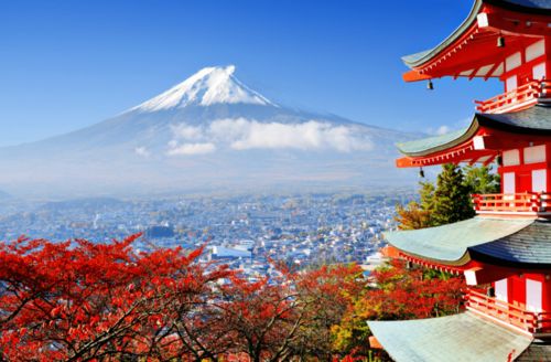 在日本网站上销售古玩，真的能带来可观的收益吗？