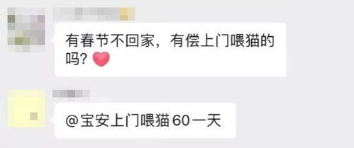 在深圳，普通人如何找到赚钱的门道？