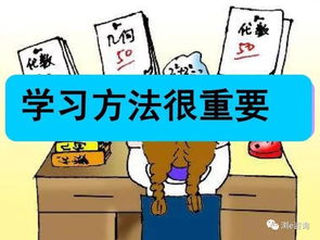 如何通过学习提升赚钱能力？一张图片引发的思考