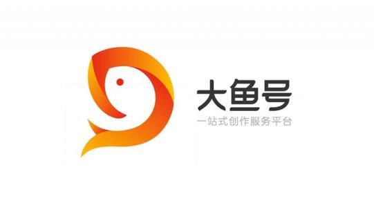 知乎与大鱼号，哪个平台更能助你实现财务自由？
