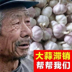 80岁高龄大爷如何通过生意赚取收入？