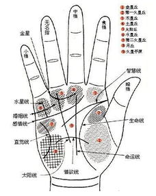 手相如何透露男性赚钱能力？探索财富纹路的奥秘