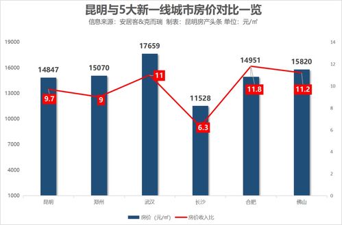哪个城市开设超市最具盈利潜力？市场分析告诉你答案