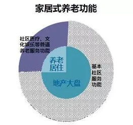 究绿4真的能赚钱吗？深入了解其盈利模式与实际效果