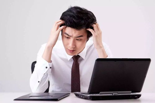 博士为何热衷副业？背后原因令人深思