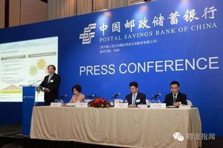 晟通集团实力如何？其综合表现究竟怎样？