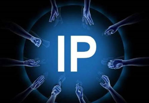 如何打造独特的副业IP，实现多元收入？