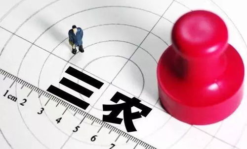 三农自媒体能否实现盈利？真实赚钱情况探究