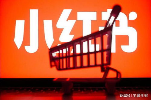 小红书副业兼职怎么做？新手也能月入过千的秘诀是什么？
