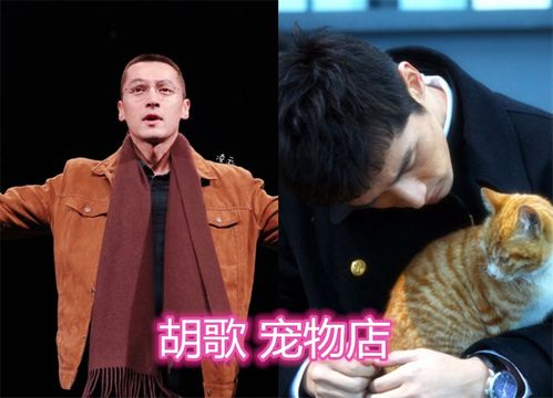 全能演员的副业究竟是什么？跨界才华令人好奇！