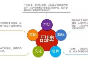 如何有效在互联网上推广品牌，实现品牌的成功建立与传播？