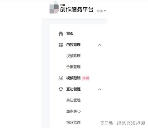 如何在抖音找到适合自己的副业？求实用文案指导！