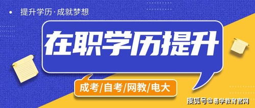 如何利用赚钱可可实现财富增长？你真的了解这个机会吗？