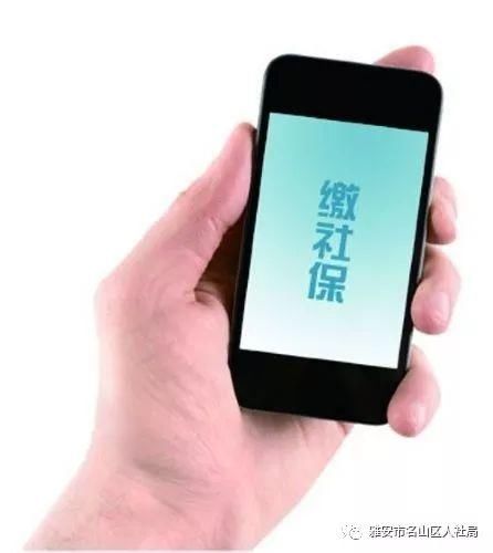 兼职员工为何只缴纳社保却未参与医保？