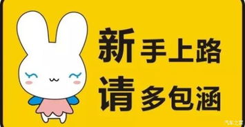 什么样的副业既安全又易学，适合新手轻松上手？