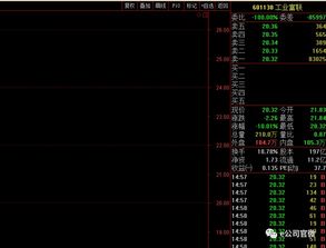 千股跌停背后，投资者能否逆势获利？