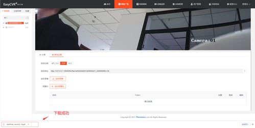 如何在相册中拍摄视频实现盈利？你试过这些方法吗？