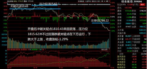 潍坊智能英语项目能否带来可观收益？