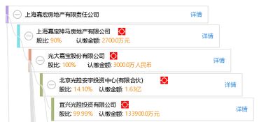 嘉宏易信是什么公司，嘉宏易信是什么公司旗下的？