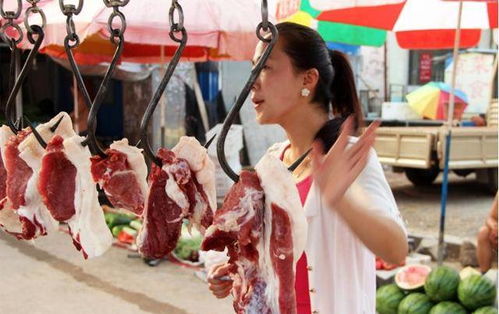 农村大学生投身猪肉生意，真的能赚钱吗？