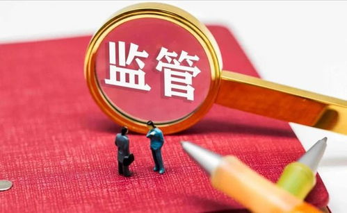 政府如何追踪和监管个人副业收入？