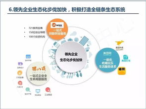 共享经济中如何快速实现盈利？高效赚钱攻略详解
