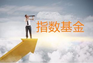 为何有人选择不全力追逐财富？