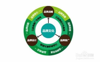 软件创业如何选择公司类型才能盈利？