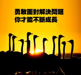 为何身处困境却不愿努力谋生？探究背后的心理迷局